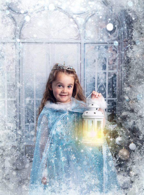 Frozen Kingdom - 2025 Mini Photo Session Booking - Image 19