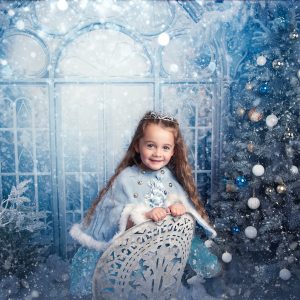 Frozen Kingdom - 2025 Mini Photo Session Booking