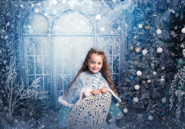 Frozen Kingdom - 2025 Mini Photo Session Booking
