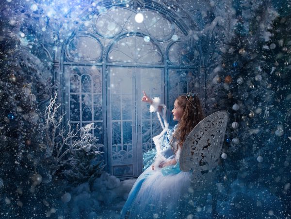 Frozen Kingdom - 2025 Mini Photo Session Booking - Image 17