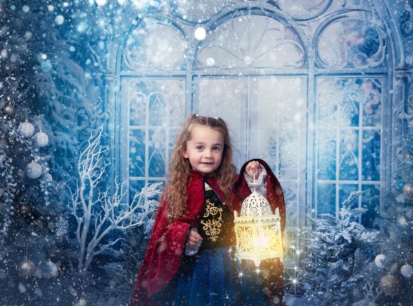 Frozen Kingdom - 2025 Mini Photo Session Booking - Image 15