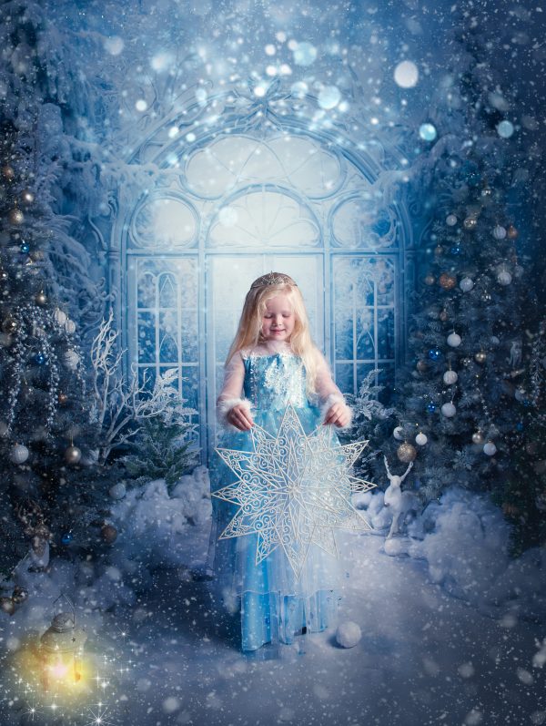 Frozen Kingdom - 2025 Mini Photo Session Booking - Image 14