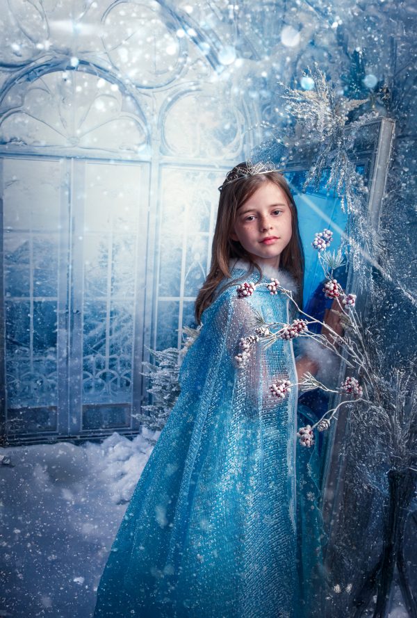 Frozen Kingdom - 2025 Mini Photo Session Booking - Image 3