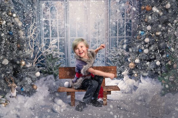 Frozen Kingdom - 2025 Mini Photo Session Booking - Image 8
