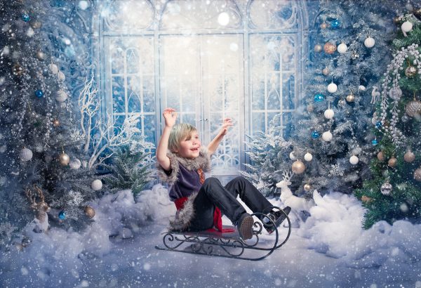 Frozen Kingdom - 2025 Mini Photo Session Booking - Image 2