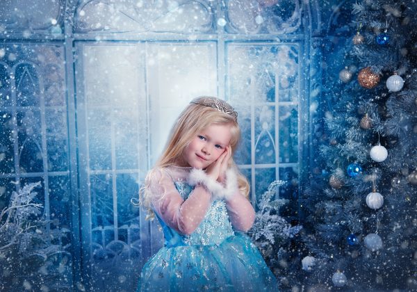 Frozen Kingdom - 2025 Mini Photo Session Booking - Image 24