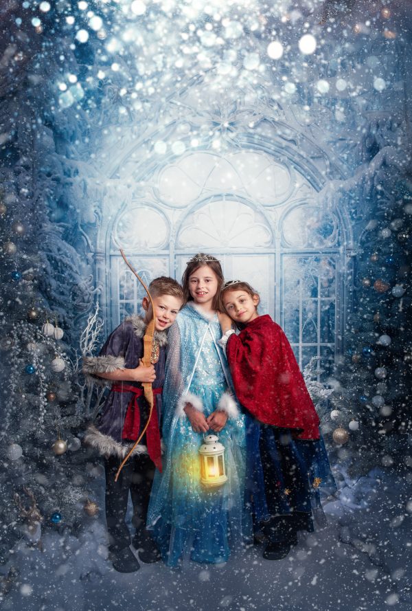Frozen Kingdom - 2025 Mini Photo Session Booking - Image 22