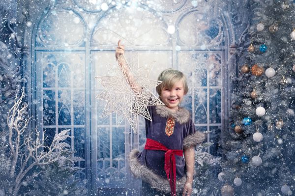 Frozen Kingdom - 2025 Mini Photo Session Booking - Image 23